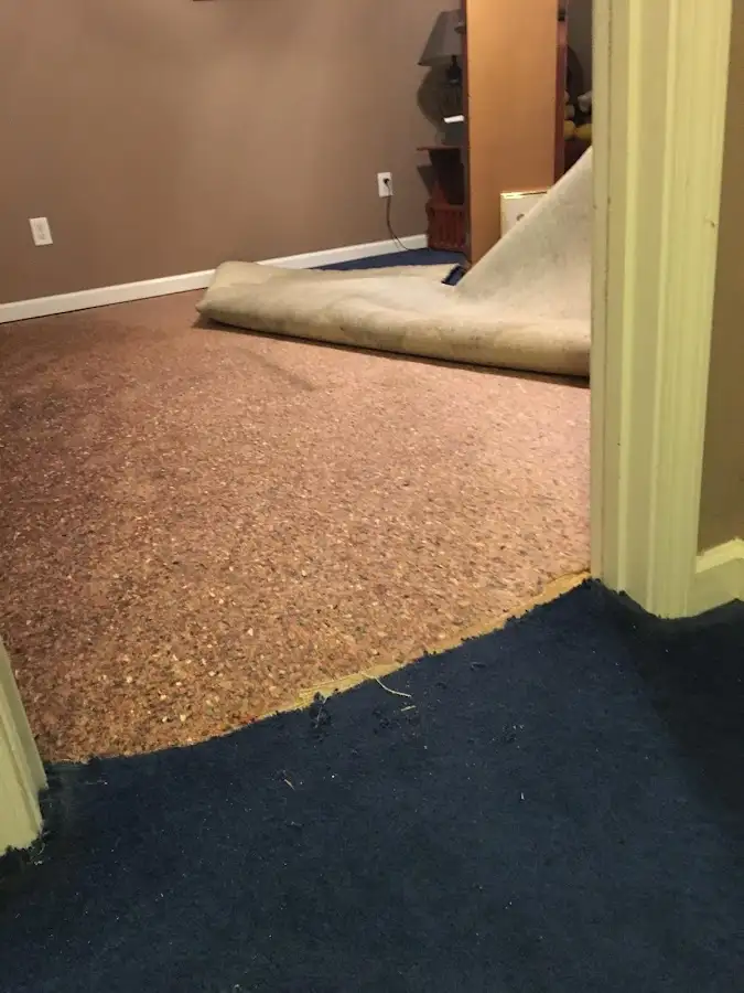 Carpet pad removal revealing water damage during Drying & Dehumidification in Larose
