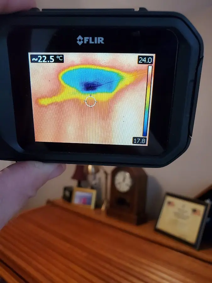 Thermal imaging inspection for water damage in Larose
